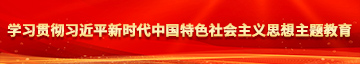 操美莲逼学习贯彻习近平新时代中国特色社会主义思想主题教育